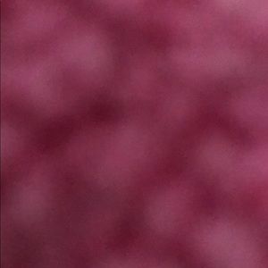 Meet your Posher, Freya